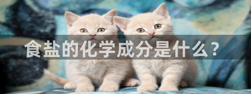 威九国际APP