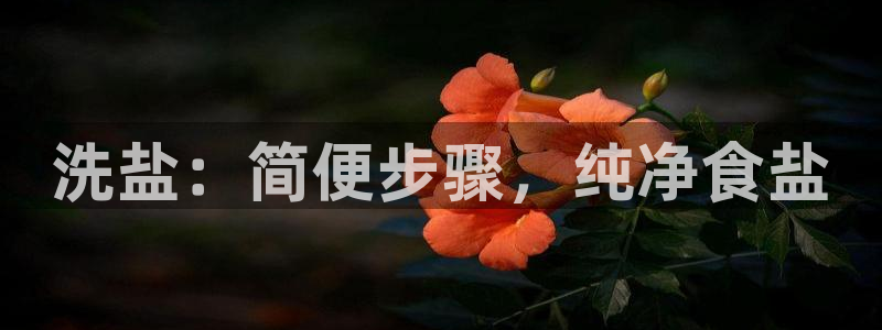 威九国际提款不出来
