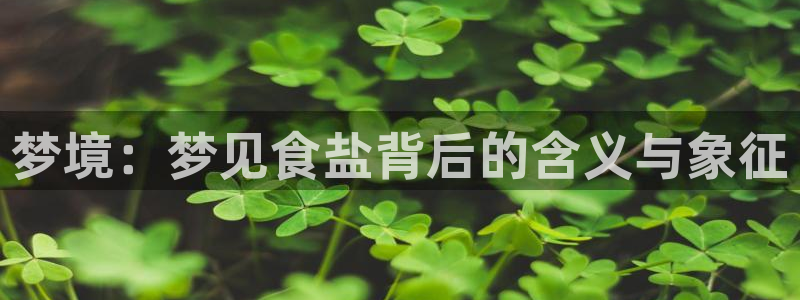 威九国际精彩推荐怎么样