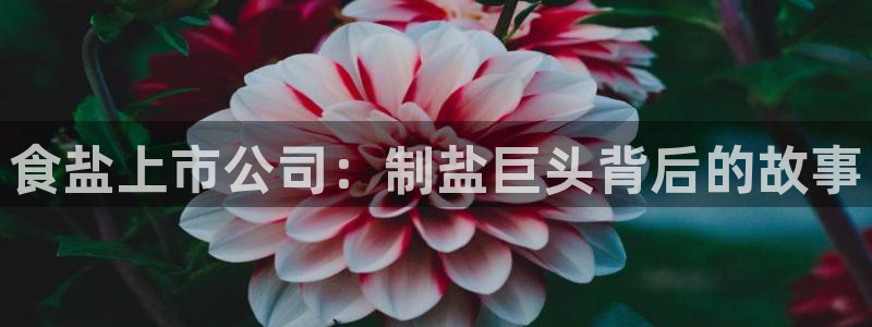 保定威九网络科技有限公司招聘