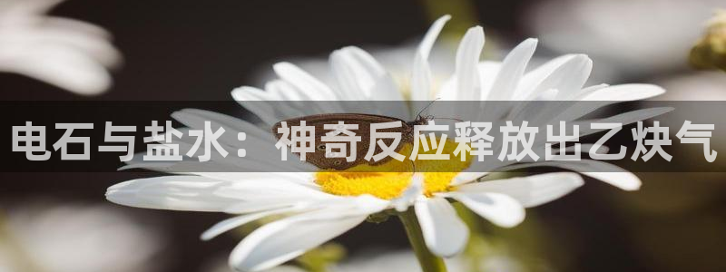 威九国际网站更新