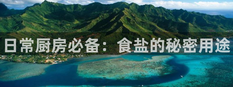 威九国际APP那个地方