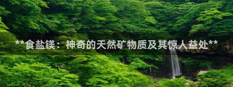 威九国际小说