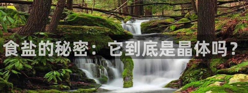 威九国际官网版