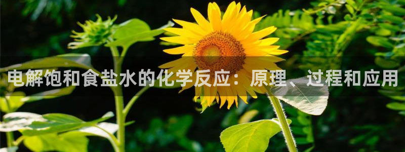 78mapp威九国际神曲口服液