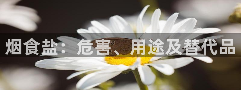 78mapp威九国际网页版