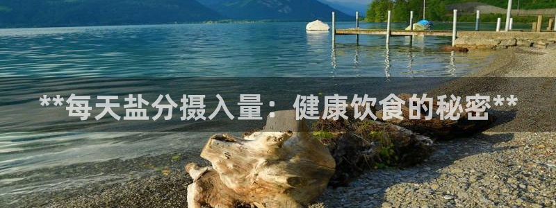 威九国际AN