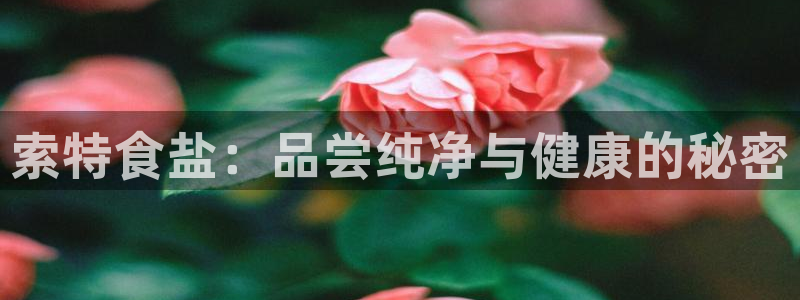 威九国际入口一