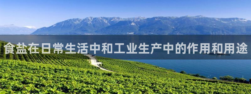 威九国际天美
