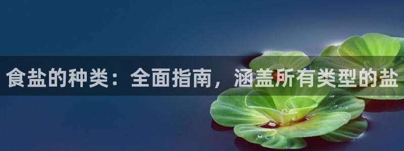 威九国际下载