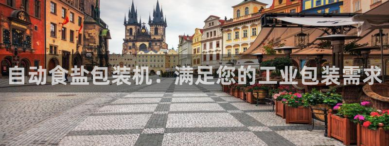 威九国际娜娜