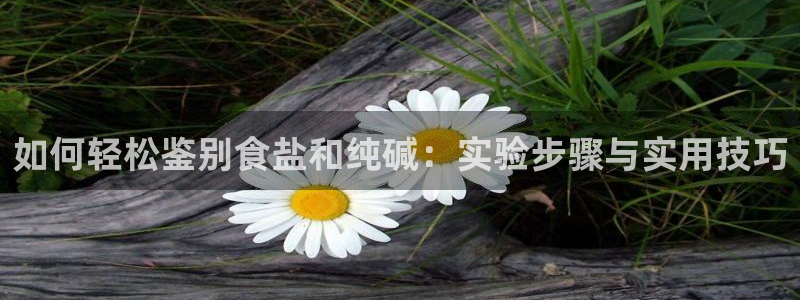 威九国际v18