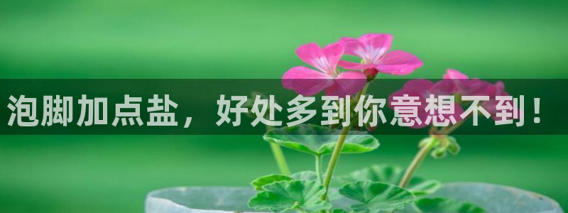 威九国际网站怎么样知乎