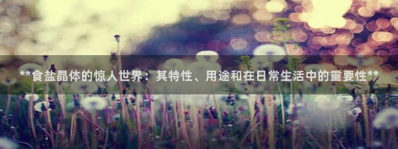 威九国际v96242cc官网版