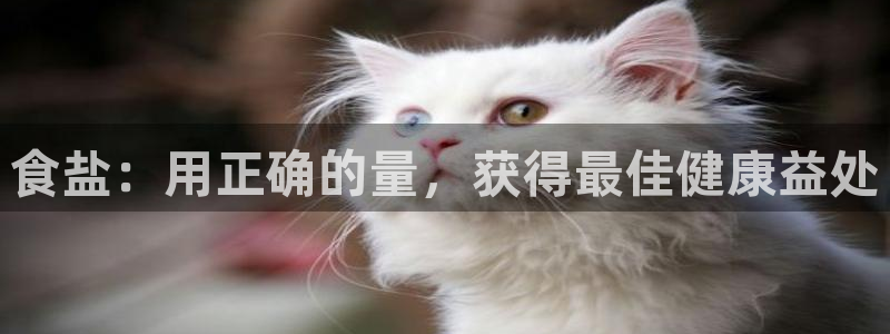 威九国际国精彩片段