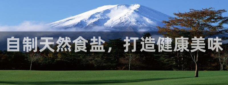 威九国际免费