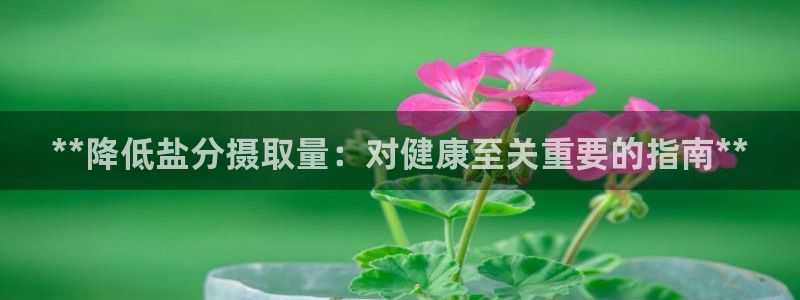 威九国际网站入口官网首页