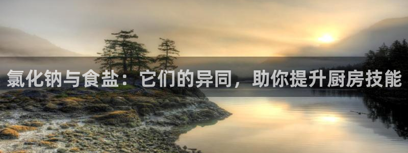 78m.ppt威九国际官网版
