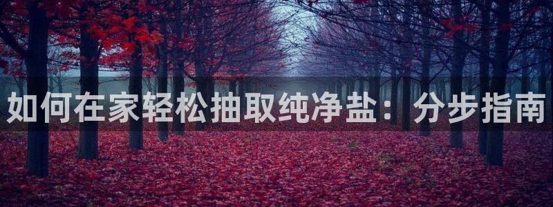 威九国际电视怎么样