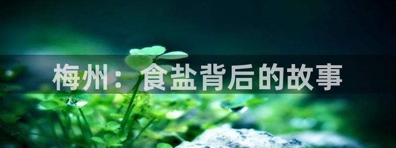 威九国际可以退钱吗怎么退的