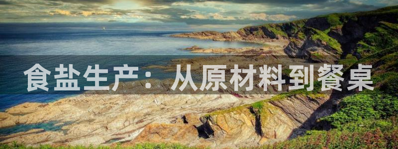 威九国际韩国