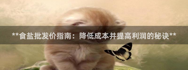 威九国际APP那个地方