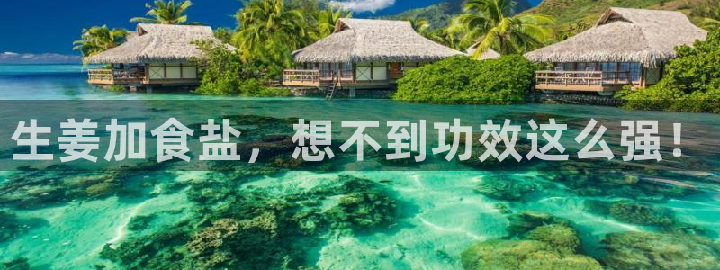 威九国际网站怎么样