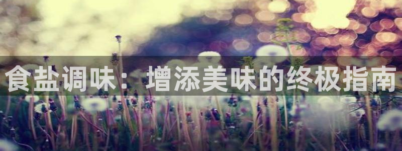 威九国际X8