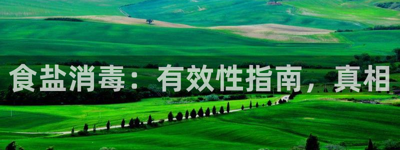 威九国际旗下艺人有谁