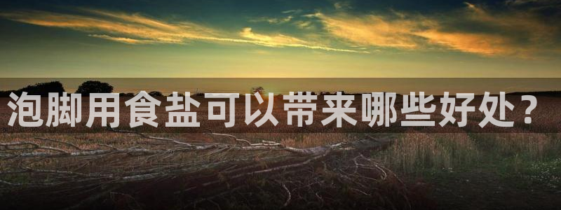 威九国际78m78下载