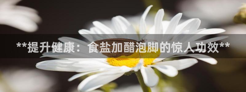 78mapp威九国际免费官方版下载