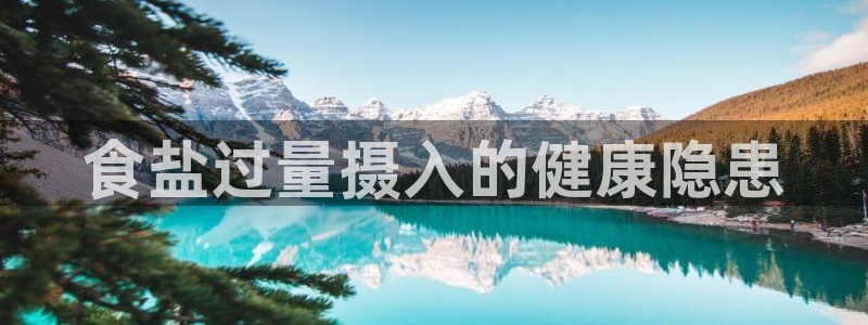 威九国际AN