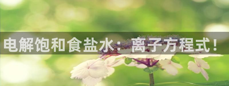 威九国际入囗