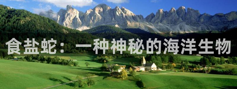 威九国际抡里