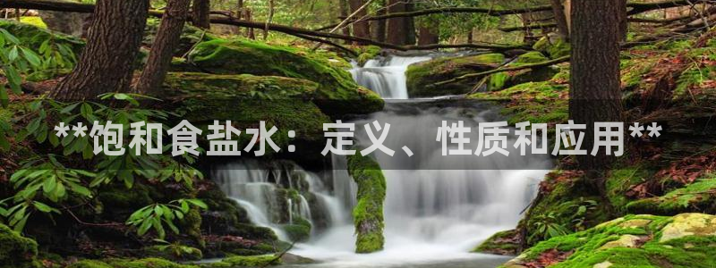 威九国际旗下艺人有谁