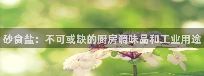威九国际特殊奖励我的奖励竟然是嫂子