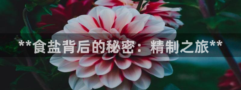 威九国际66m官网版