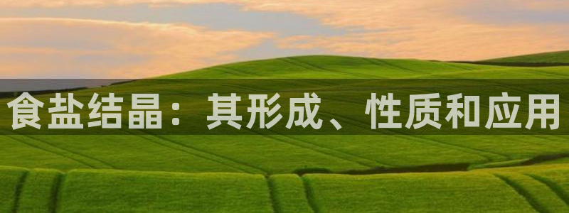 威九国际女星