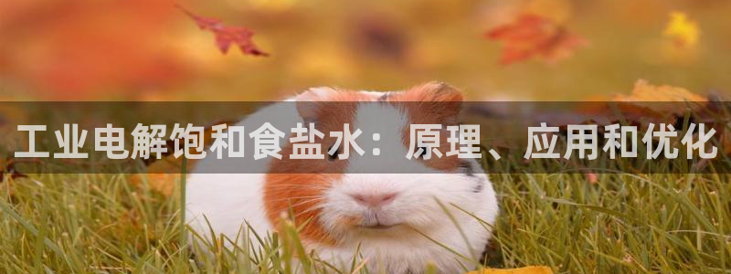威九国际网站进入公司不断创新