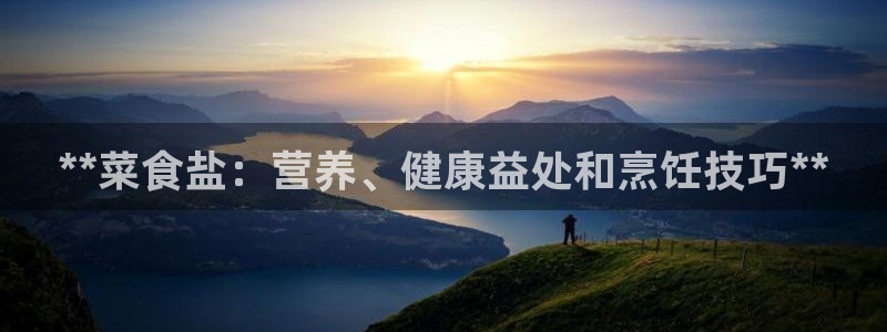 威九国际fX8x