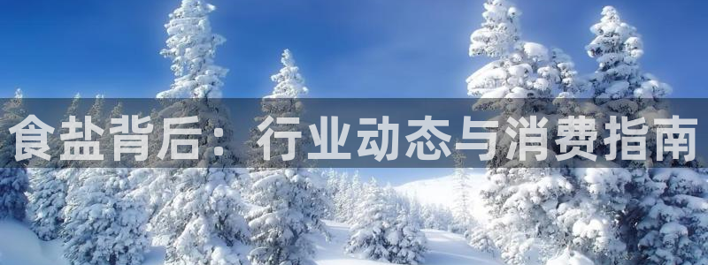 威九国际app
