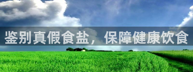 威九国际78mB
