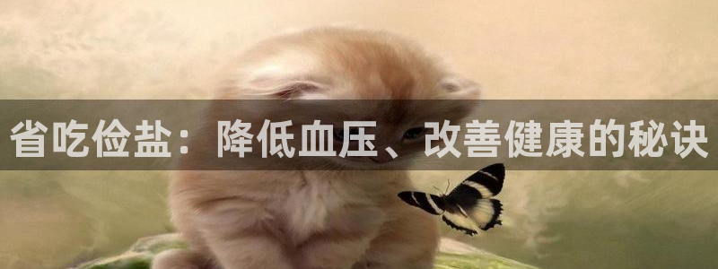 威九国际网站入口官网首页