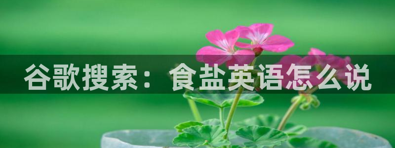 威九国际网站入口官网首页