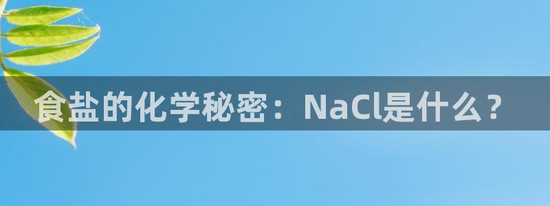 威九国际官方下载
