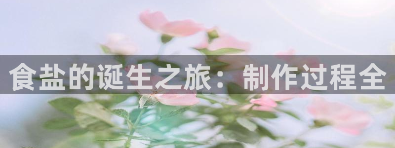 威九国际HP
