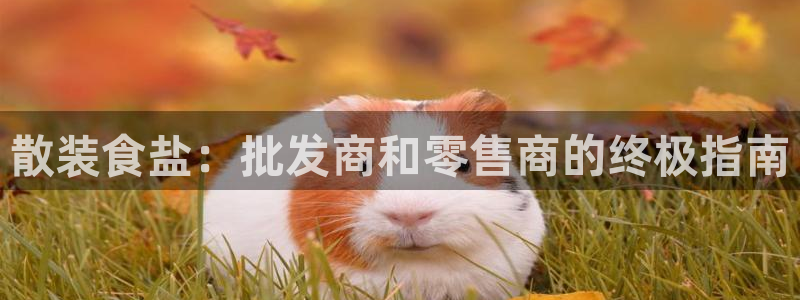 威九国际v96bet下载