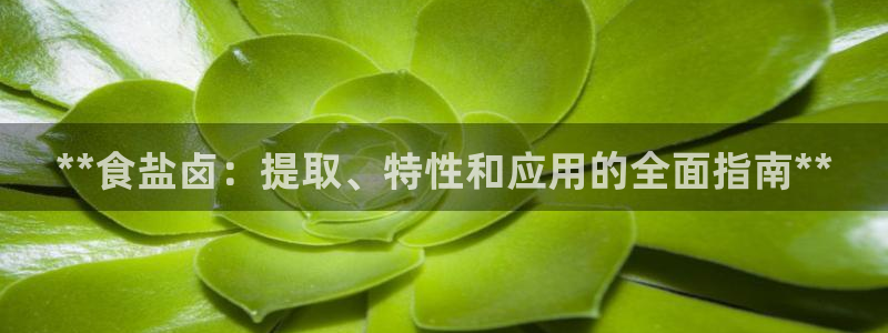 78mapp威九国际媒体央视