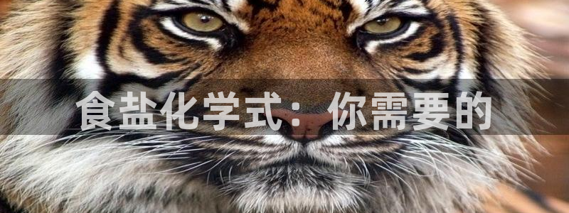 威九国际网站官网