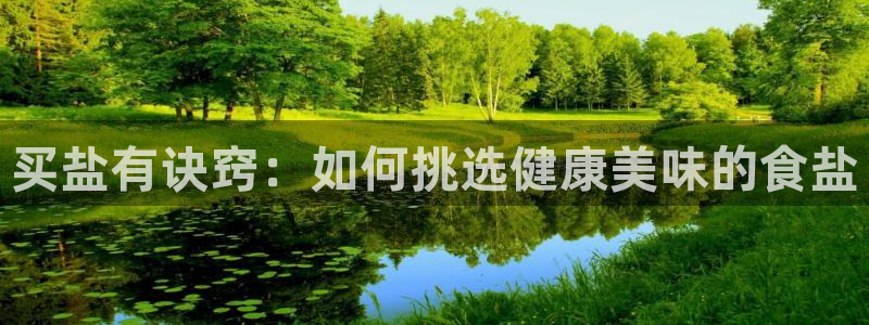 威九国际软件公司简介